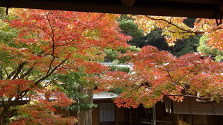 一条恵観山荘の庭園一般公開