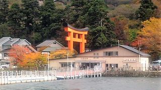 元箱根港が大鳥居`の周りに紅葉に映えて！