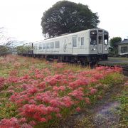 田園地帯を走ります