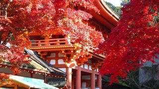 京都に行ったら訪れたい！京都で一番古い神社