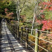 紅葉の見ごろは、１１月中旬から