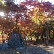 2017/11/19真っ赤な紅葉が見頃