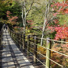 この吊橋、結構　揺れます