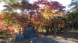 2017/11/19真っ赤な紅葉が見頃