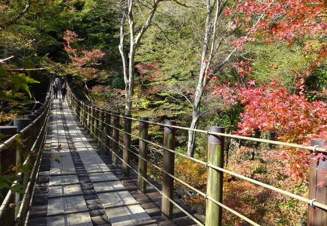 紅葉の見ごろは、１１月中旬から