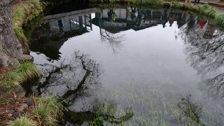 透明度がすごい！