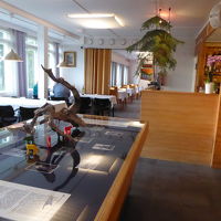 レストランから林と川が見えます