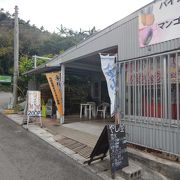 ヤエヤマヤシの群落の近くにある店