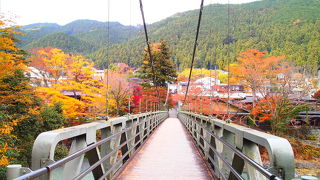 紅葉の季節最高！