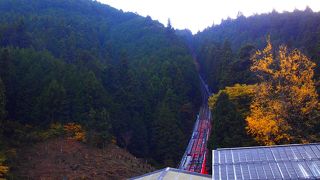 紅葉を眺めながら