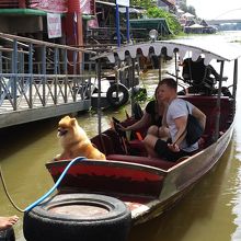 子犬がかわいい。