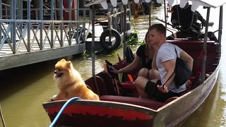 ほのぼの渡し舟