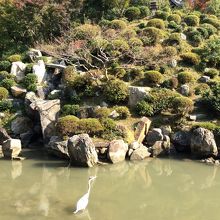 まるでモデルのように。。。名勝庭園で