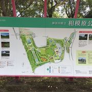 ＝県立相模原公園＝ 広くて立派