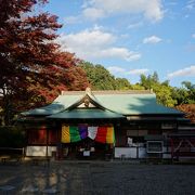 鎌倉時代中期に作られた木造佐白観音坐像が寺宝