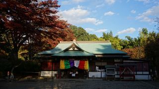 鎌倉時代中期に作られた木造佐白観音坐像が寺宝