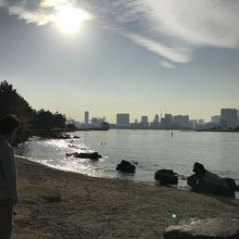 海岸より