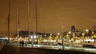 フェリーがたくさん停泊してます