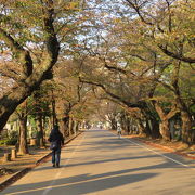 歴史ある東京都営の墓地