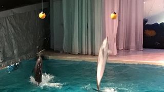 ノンビリと過ごせます