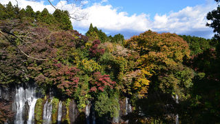 白糸の滝と富士山を見る