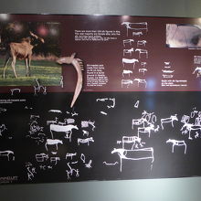 博物館の岩絵説明