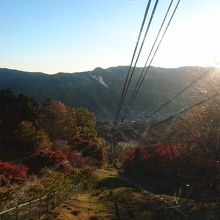 ロープウェイの中から