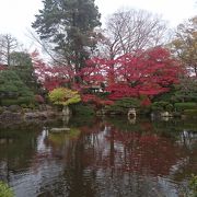 きれいな紅葉、もみじ公園