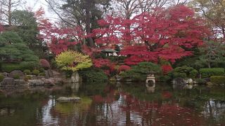 きれいな紅葉、もみじ公園