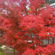 紅葉&#127809;の光明寺