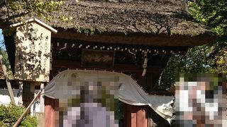 白鳳仏の特別拝観