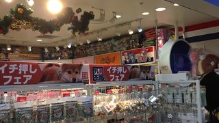 和風総本家の豆助グッズがたくさんありました