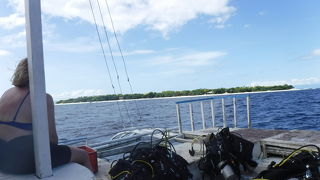 魚の種類が特別多い！