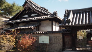 見応えがあります