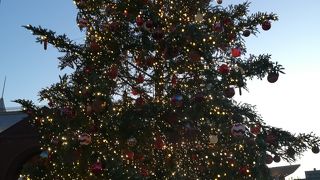 イルミネーションがきれいでした