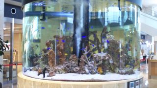 コンパクトな空港