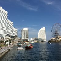 ちょっと遠くからですが…