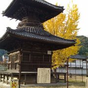 子供公園の中にぽつんと