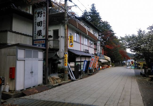 たらいうどん500円や田舎そば500円等もあります