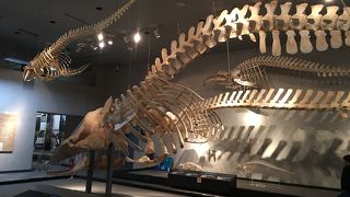 房総半島を楽しく知る