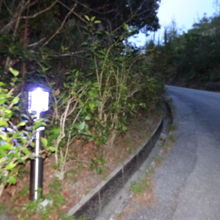 センサーライトが足元を照らしてくれます。