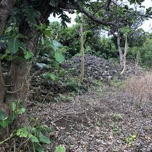 塀の石垣の残骸が悲しい