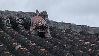 村民の憩いの場？