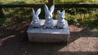 ここは外せないスポットです