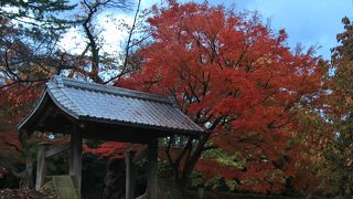 紅葉の頃も良い