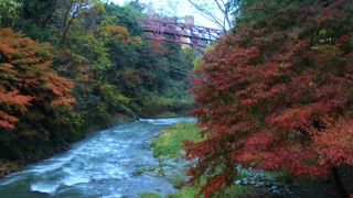 紅葉が綺麗でした