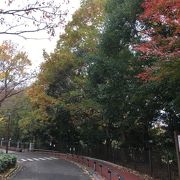 紅葉が美しい公園