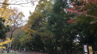 紅葉が美しい公園