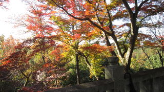 紅葉がいい感じ