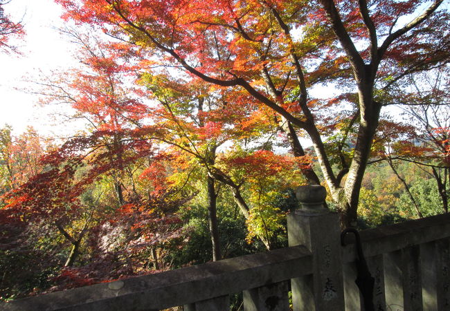 紅葉がいい感じ